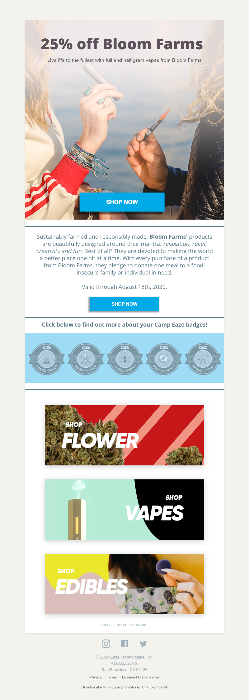 Screenshot of email with subject /media/emails/62e91906-6c0f-49ac-b10c-ca55a1a48212.png