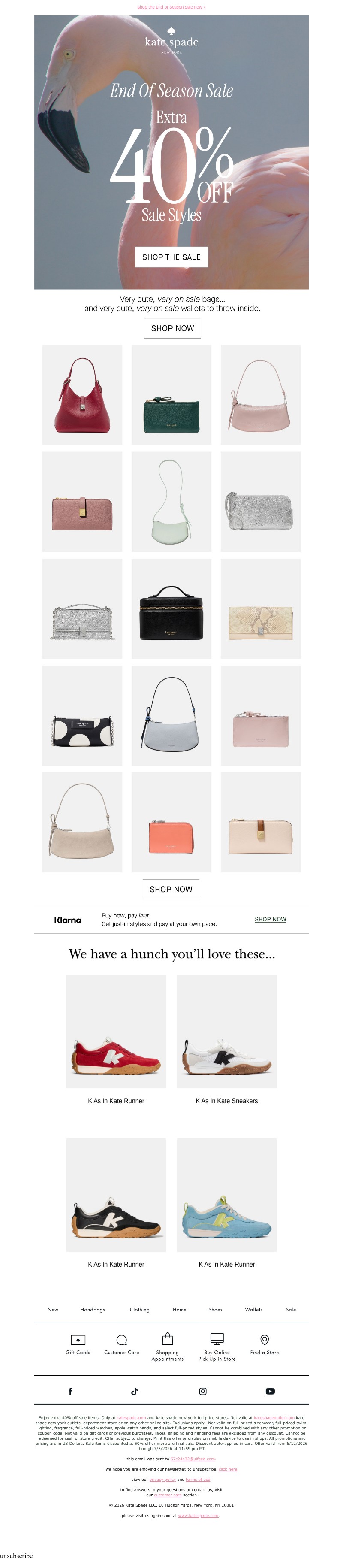 Screenshot of email with subject /media/emails/62f75d99-2392-4e46-b263-8d62cebd16c2.jpg