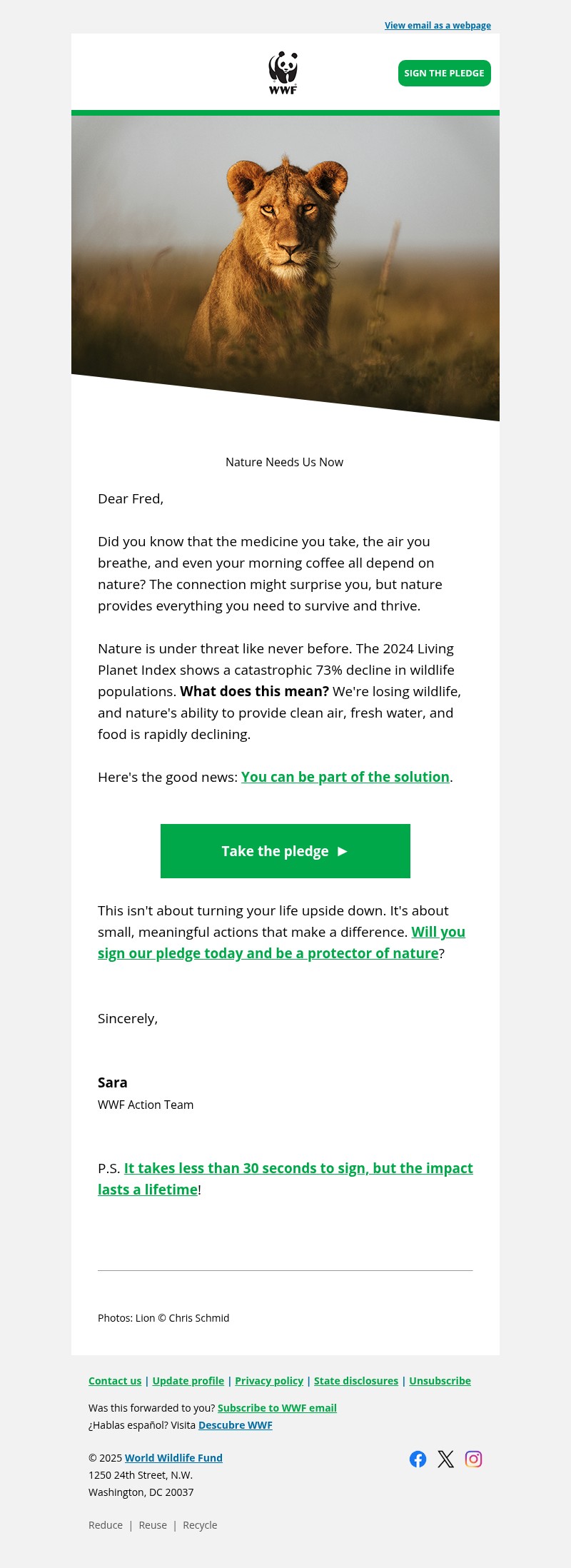 Screenshot of email with subject /media/emails/633c2794-7bf0-498f-8869-e96cef65655e.jpg