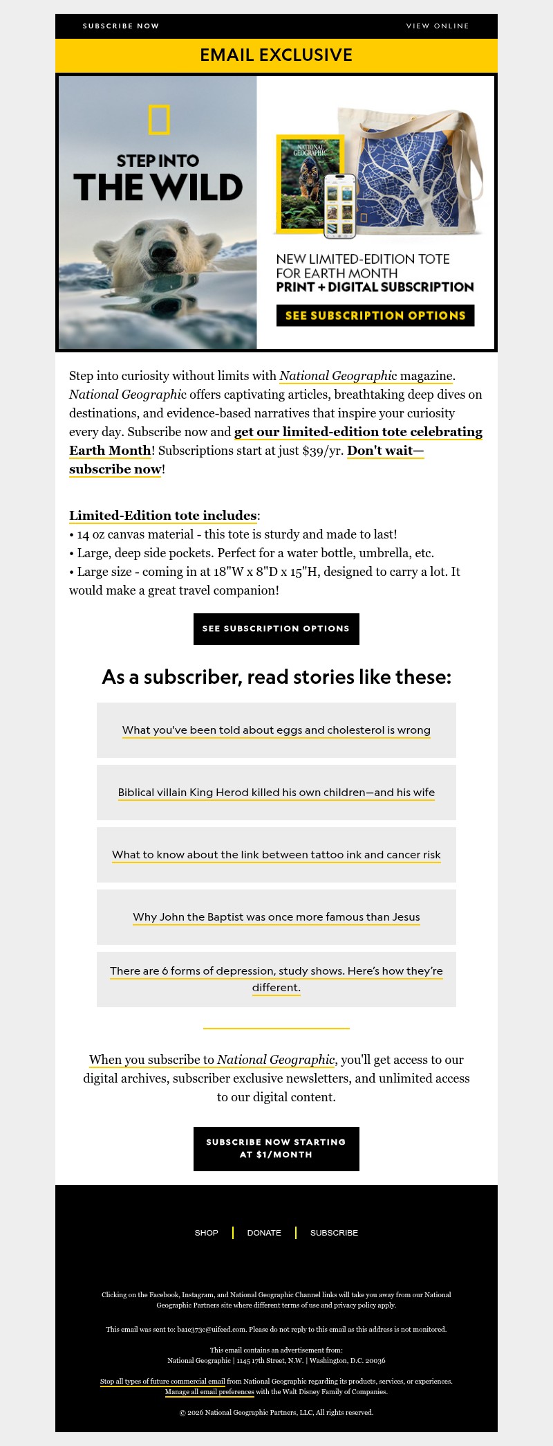Screenshot of email with subject /media/emails/63743282-dd3f-41b3-9c05-e68925e5ea03.jpg