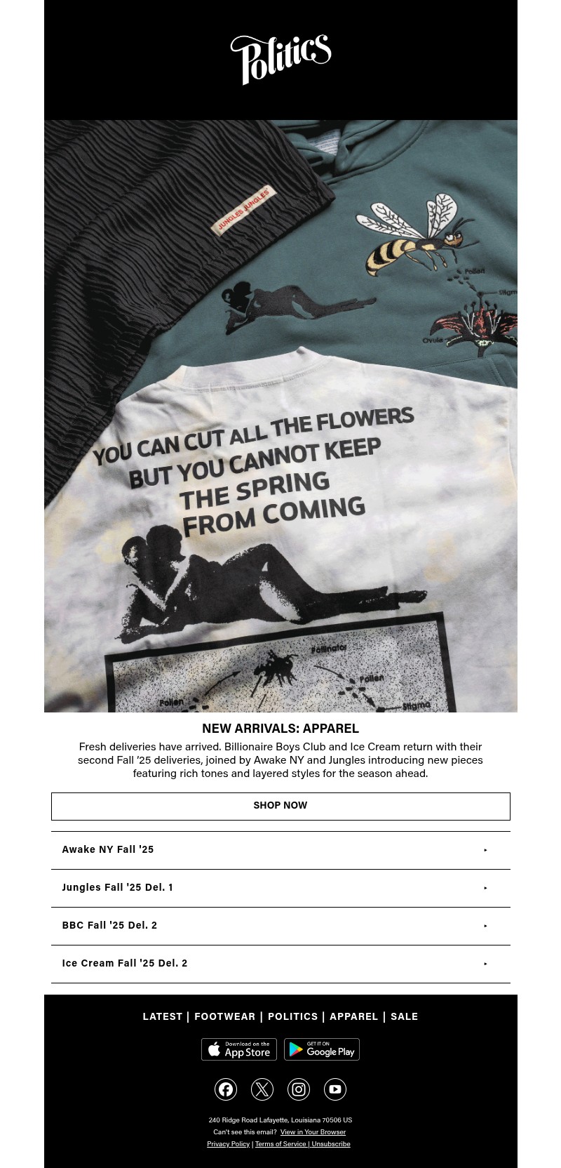 Screenshot of email with subject /media/emails/637f0e30-e32b-45a3-a533-c847e7107003.jpg