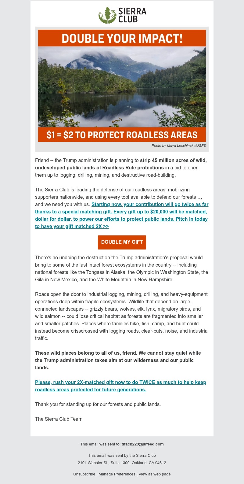 Screenshot of email with subject /media/emails/63811504-5ac6-4521-8164-cddc77df5800.jpg
