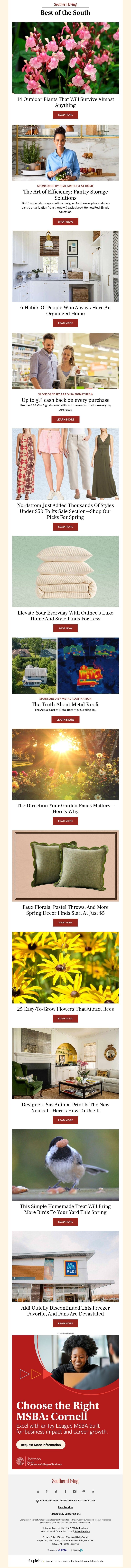 Screenshot of email with subject /media/emails/63a6e1ee-a571-4593-bd11-3f16f4cdb611.jpg