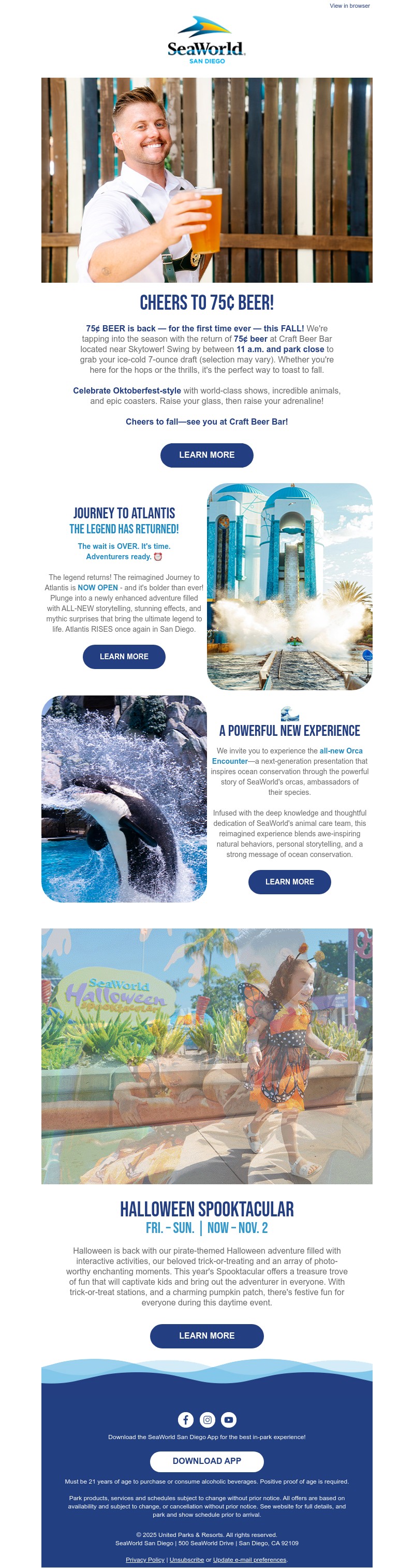 Screenshot of email with subject /media/emails/63b3685e-eaa2-41f4-8224-7ab8d5863bb4.jpg