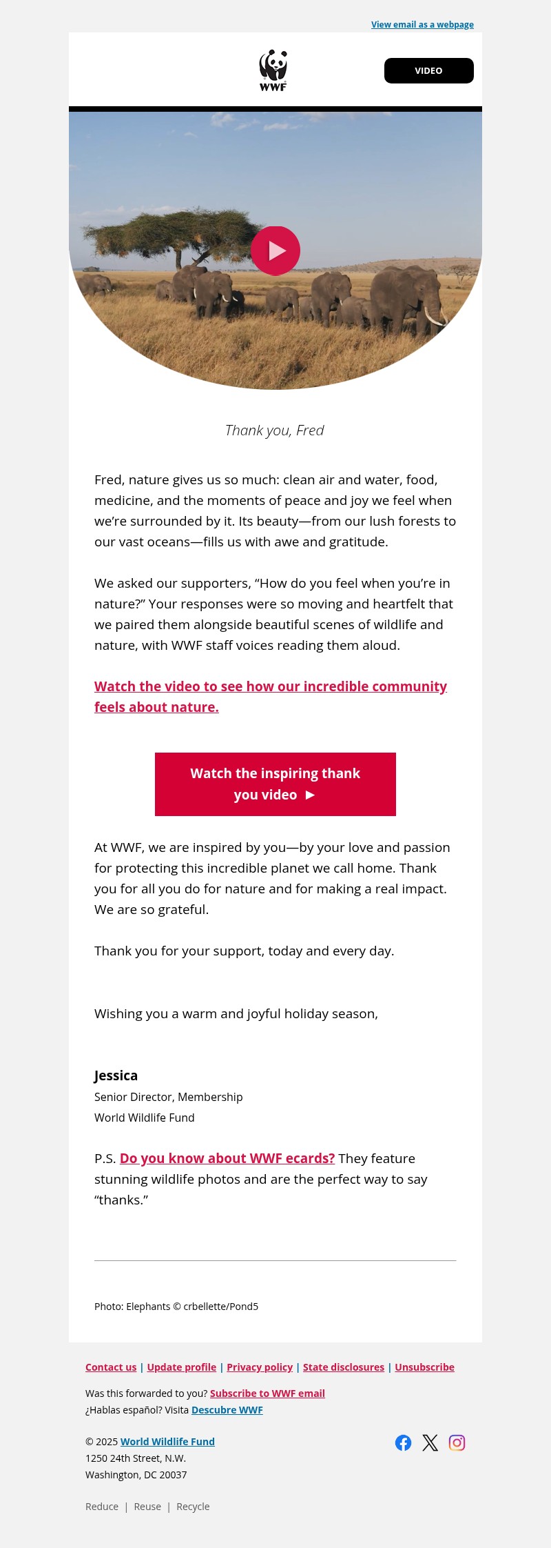 Screenshot of email with subject /media/emails/64e8f2a7-2b4c-4338-b1aa-813654337f1c.jpg