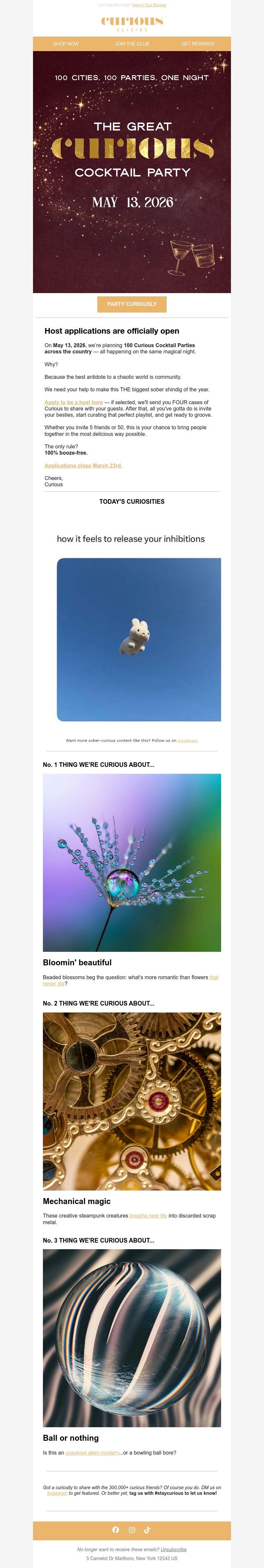 Screenshot of email with subject /media/emails/654df5ed-998b-43e4-8b8e-b77b0fc47329.jpg