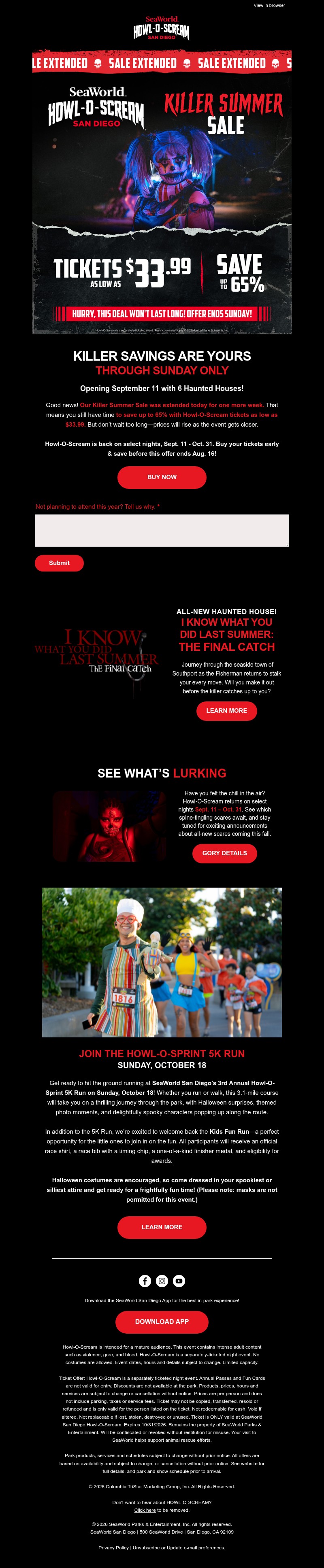 Screenshot of email with subject /media/emails/657f32f2-e97b-4420-ba4f-5a321892a388.jpg