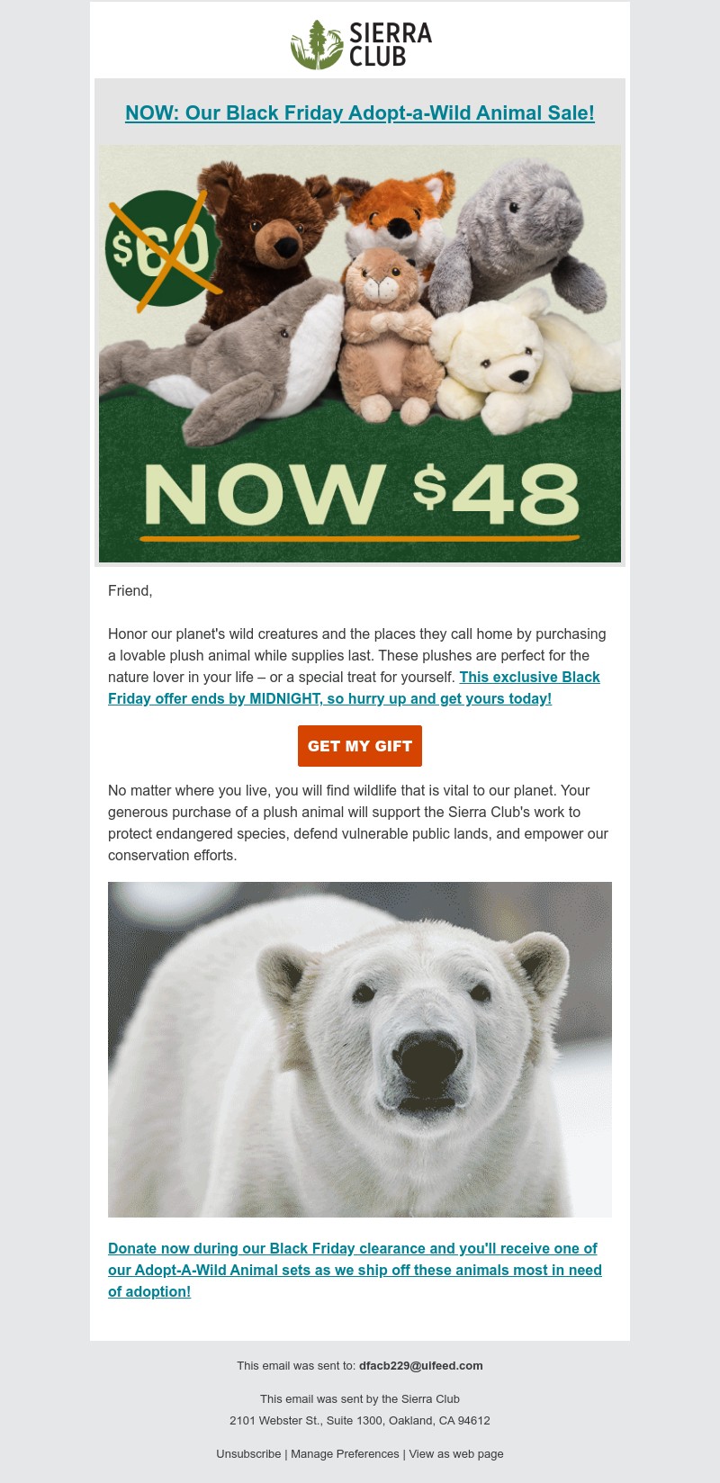 Screenshot of email with subject /media/emails/658069e0-6d0e-4551-a4e3-cf348b2eefaa.jpg