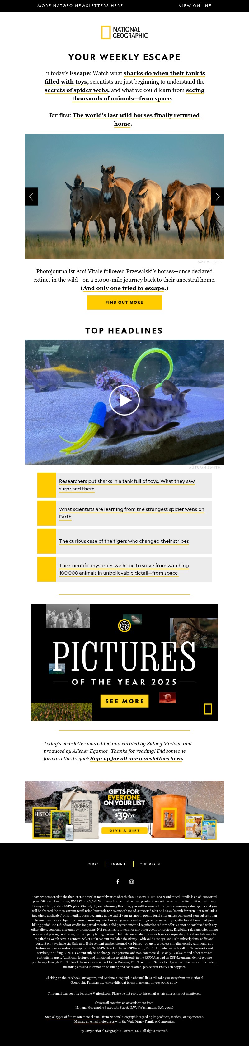 Screenshot of email with subject /media/emails/65f26126-0aca-4e11-ae36-3881304450e7.jpg