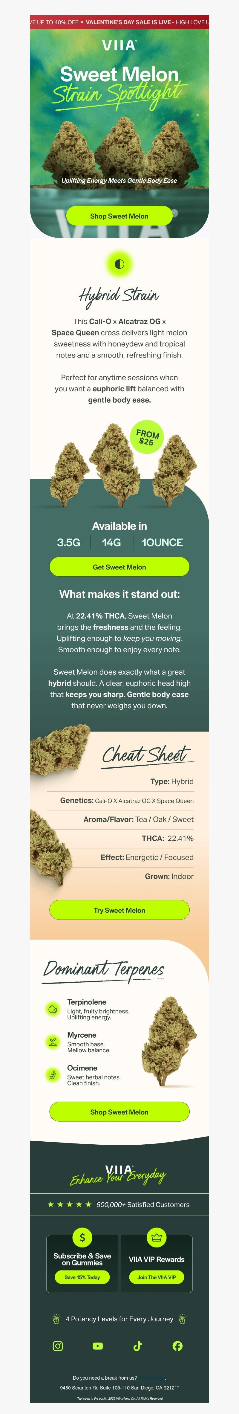 Screenshot of email with subject /media/emails/663f9f70-cafe-4adf-b1fe-da8ea5a872ec.jpg