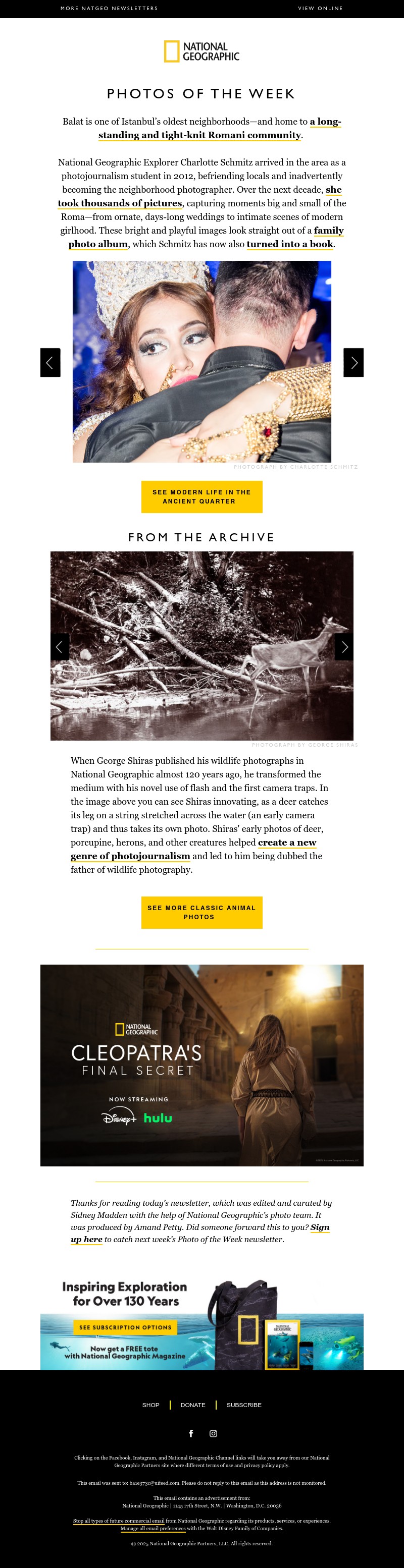 Screenshot of email with subject /media/emails/66785b4e-44a1-489c-b769-ce2ae895982b.jpg