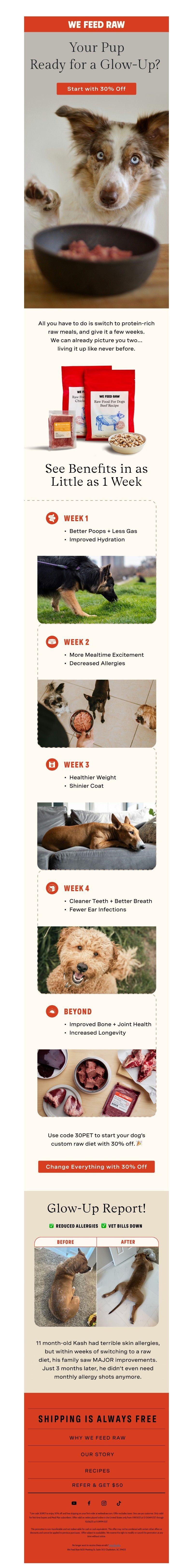 Screenshot of email with subject /media/emails/66948a1f-dc31-4f07-96ae-59ea177c25e5.jpg