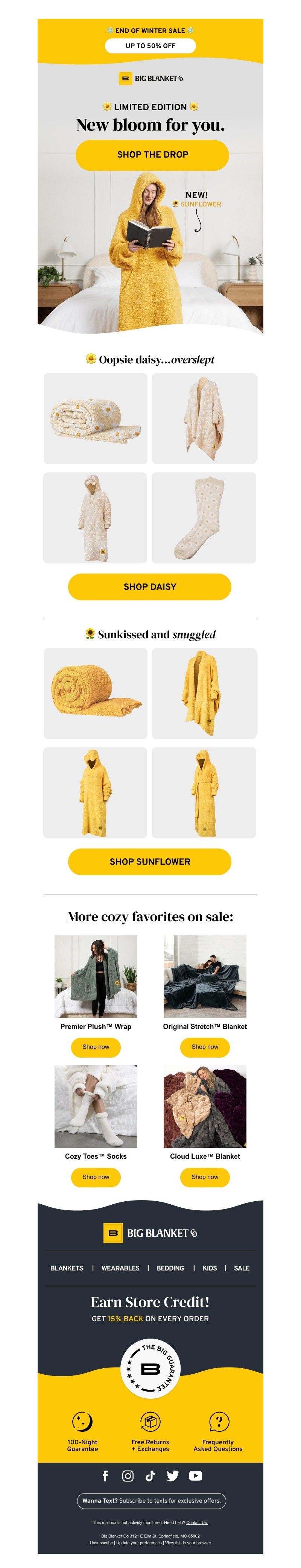 Screenshot of email with subject /media/emails/66f7c401-5ee4-4bd3-a433-9207df0e3b61.jpg