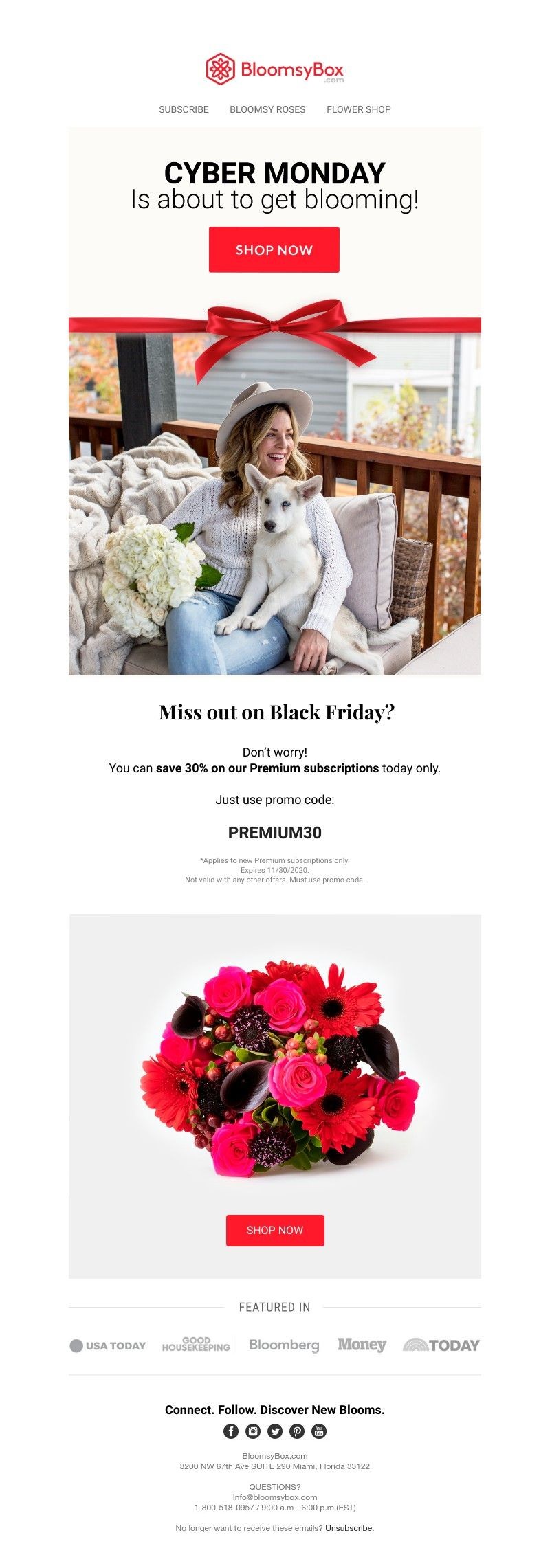 Screenshot of email with subject /media/emails/67d9ceb0-1f7d-4cca-b0c9-11db85010404.jpg