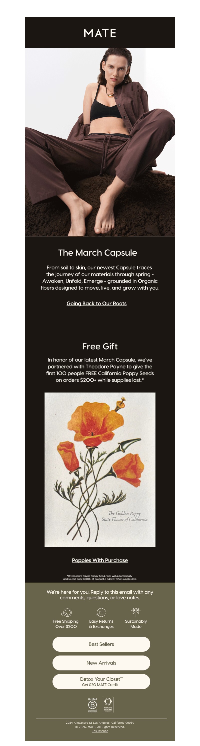 Screenshot of email with subject /media/emails/689054ad-ccc3-41c1-a64b-bcf9102c149c.jpg