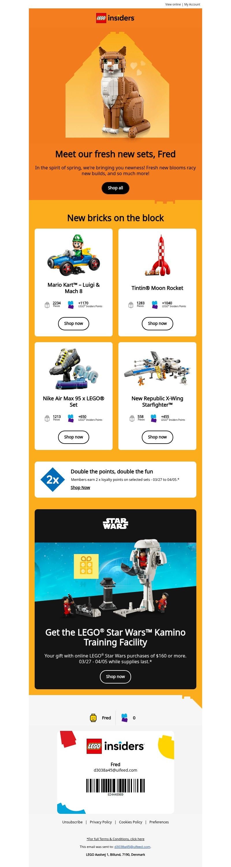 Screenshot of email with subject /media/emails/68c8c9cd-e0e9-45d2-836f-011ecf1a7f3e.jpg