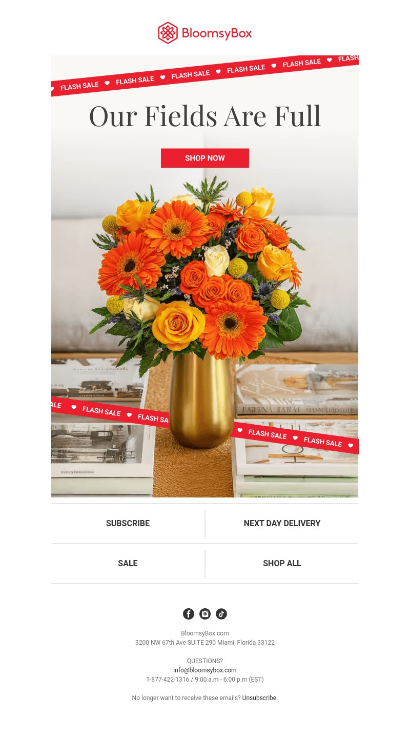 Screenshot of email with subject /media/emails/6934c01b-23c9-4744-934a-a380207b38a8.jpg