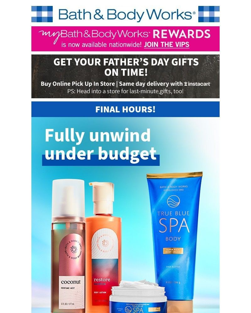 Screenshot of email with subject /media/emails/695-wellness-picks-final-hours-for-budget-bliss-362975-cropped-c9bbd4fc.jpg