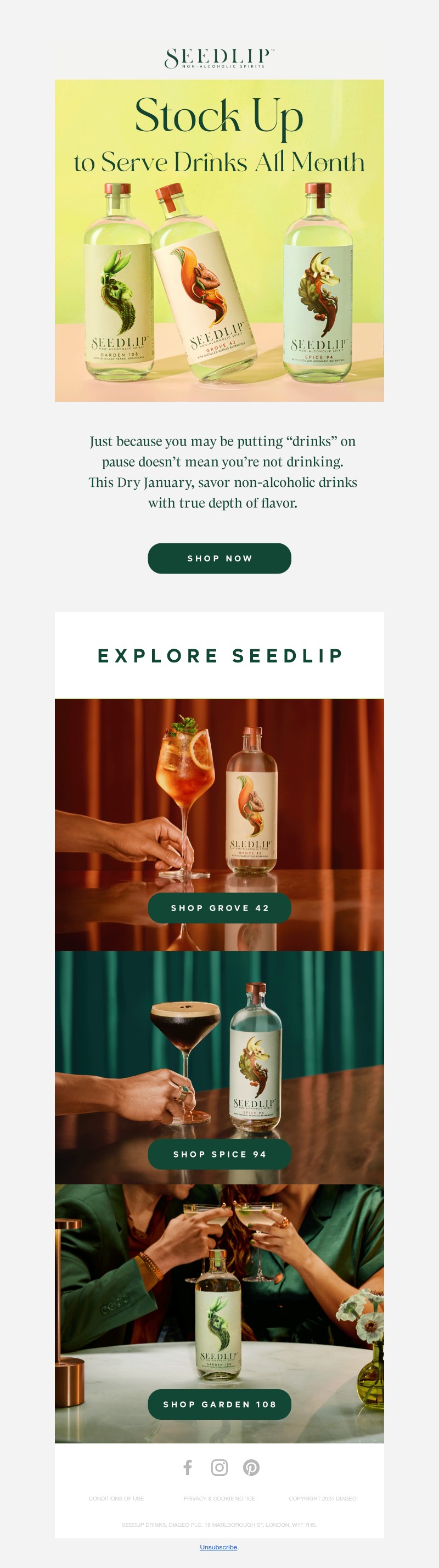 Screenshot of email with subject /media/emails/69507644-906c-4a95-9c87-793820c0317a.jpg