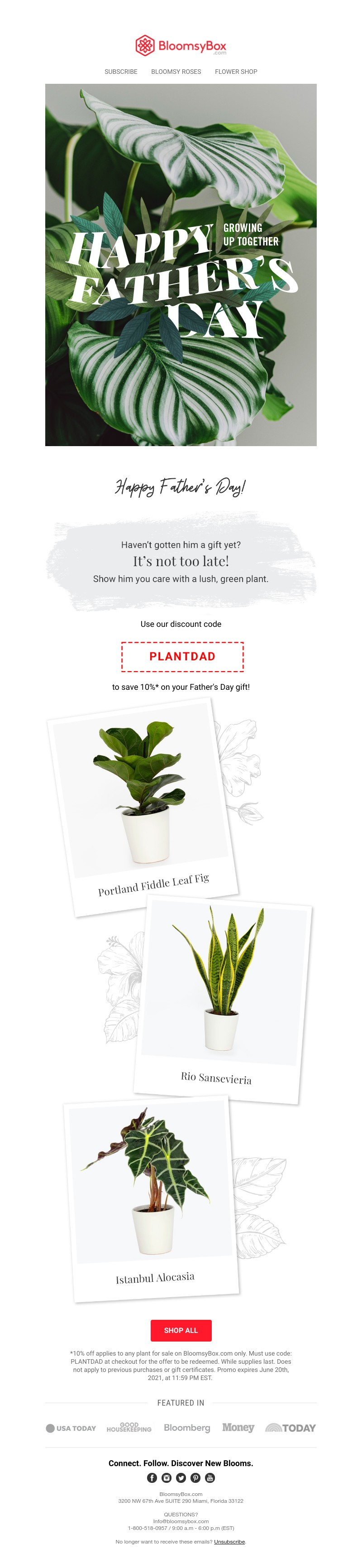 Screenshot of email with subject /media/emails/699a78cf-df87-436c-9edf-d42cf9988321.jpg