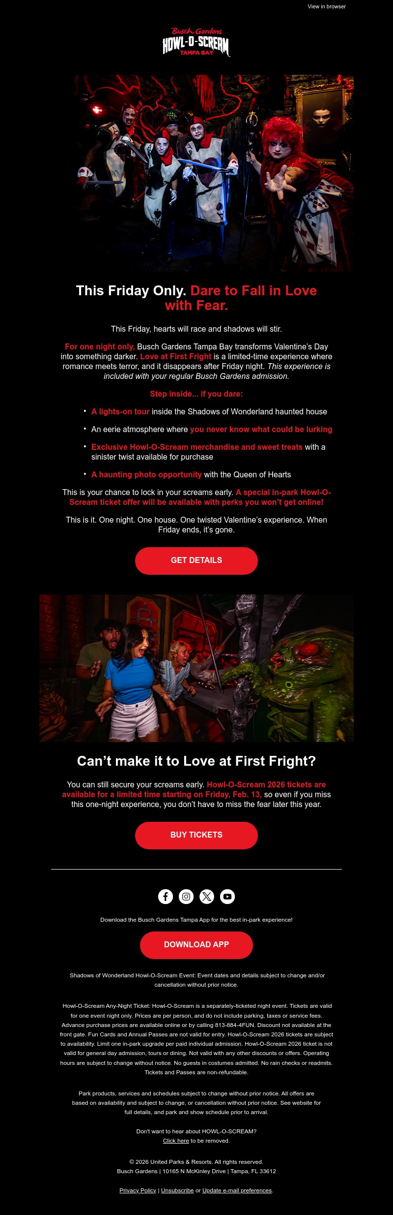 Screenshot of email with subject /media/emails/69c0a5bc-0e81-4747-a56b-4e8d0b77d7c8.jpg