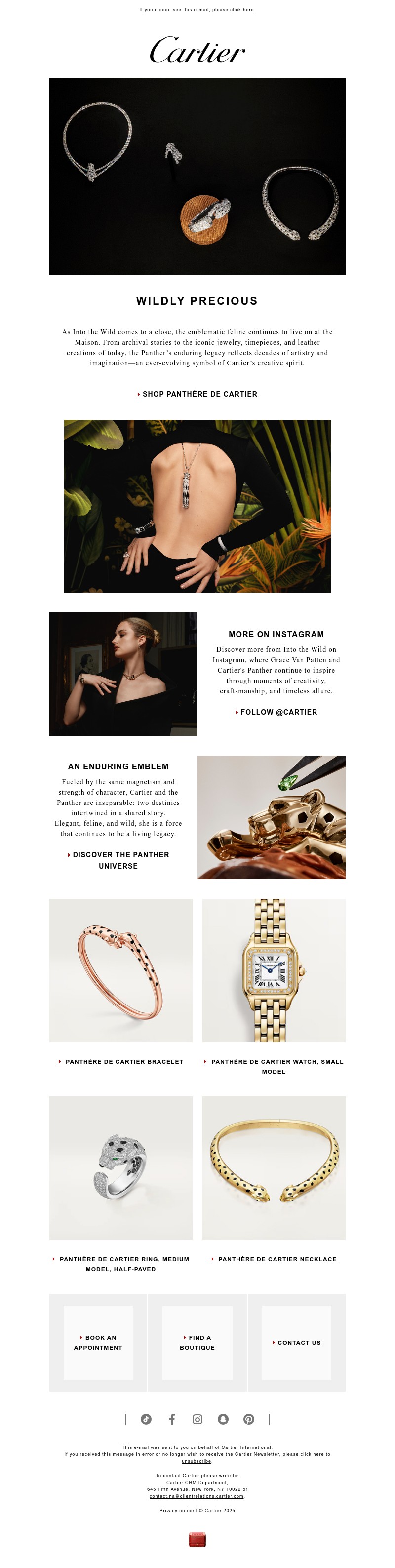 Screenshot of email with subject /media/emails/6b2106c0-37b6-434f-8923-17ae00837a75.jpg