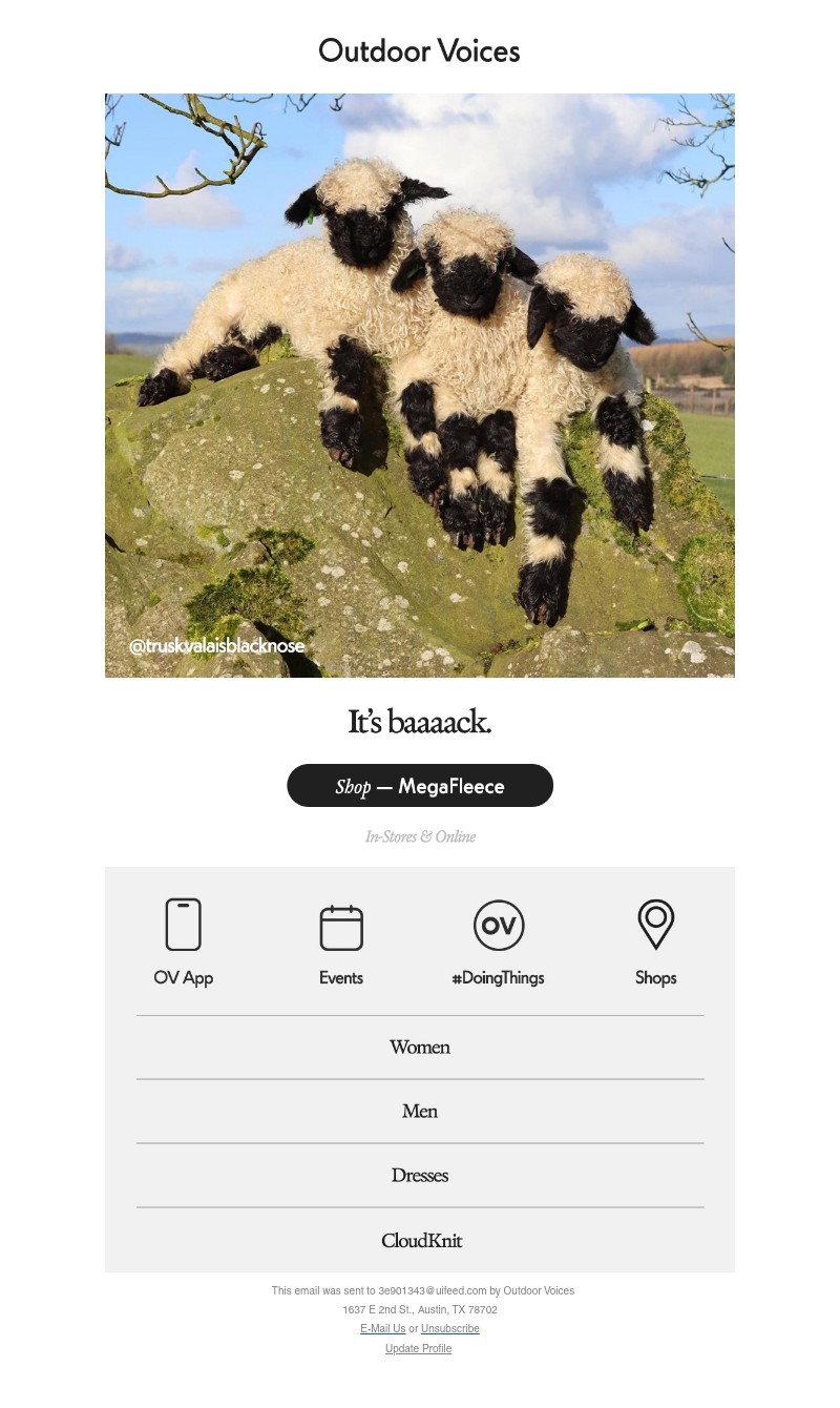 Screenshot of email with subject /media/emails/6bff1a92-9f79-4885-8302-effc9b836a37.jpg