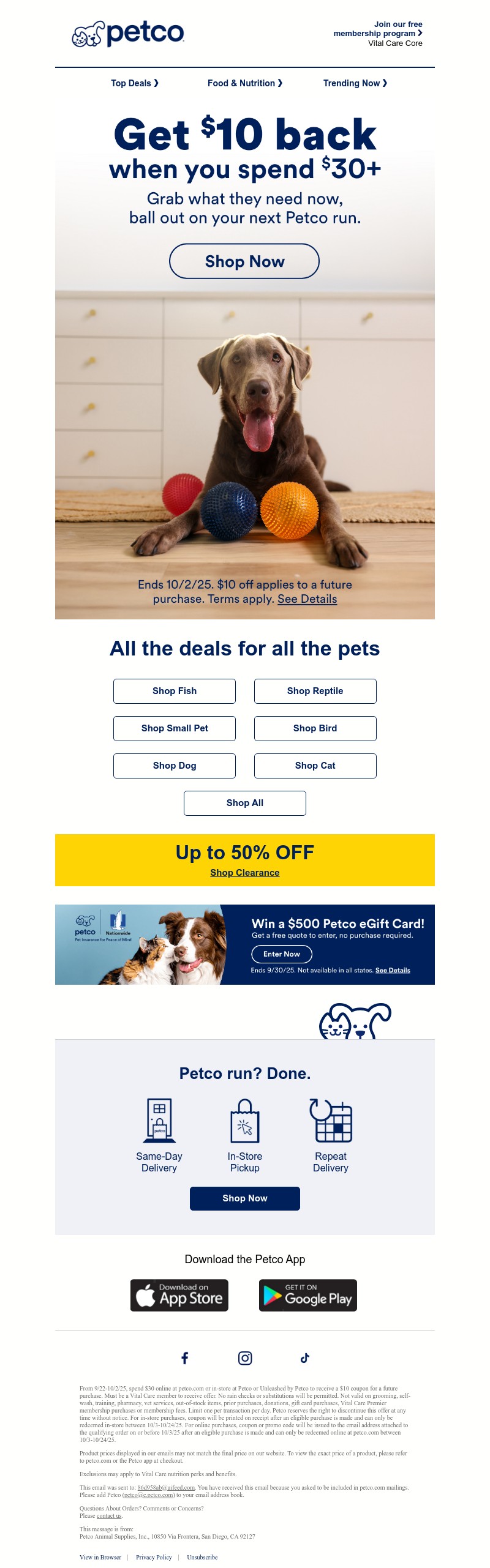 Screenshot of email with subject /media/emails/6c905b3f-9322-48d2-a5b0-2c12204dedc3.jpg