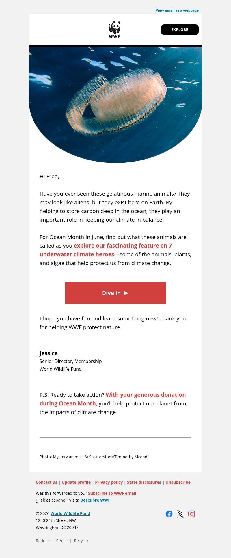 Screenshot of email with subject /media/emails/6d31afe0-0301-49cd-8a0f-0828ec212e91.jpg