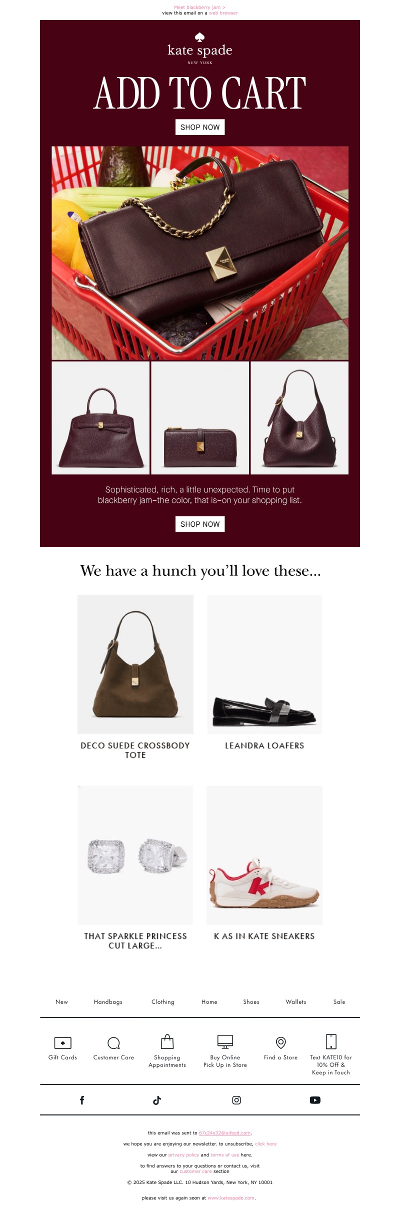 Screenshot of email with subject /media/emails/6dbc7095-6e50-48fc-9ad6-c0944efc7ef9.jpg