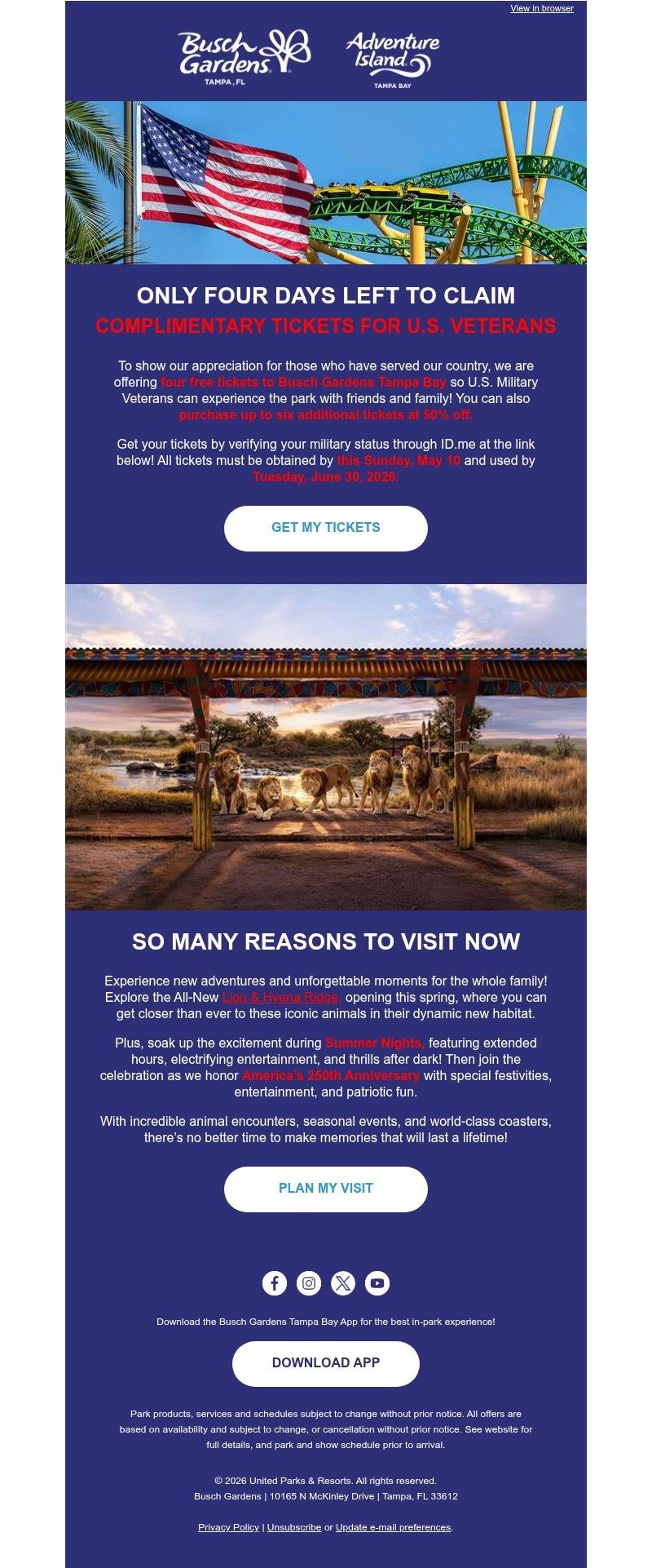 Screenshot of email with subject /media/emails/6def966c-2645-4992-9931-0b516bffb89b.jpg
