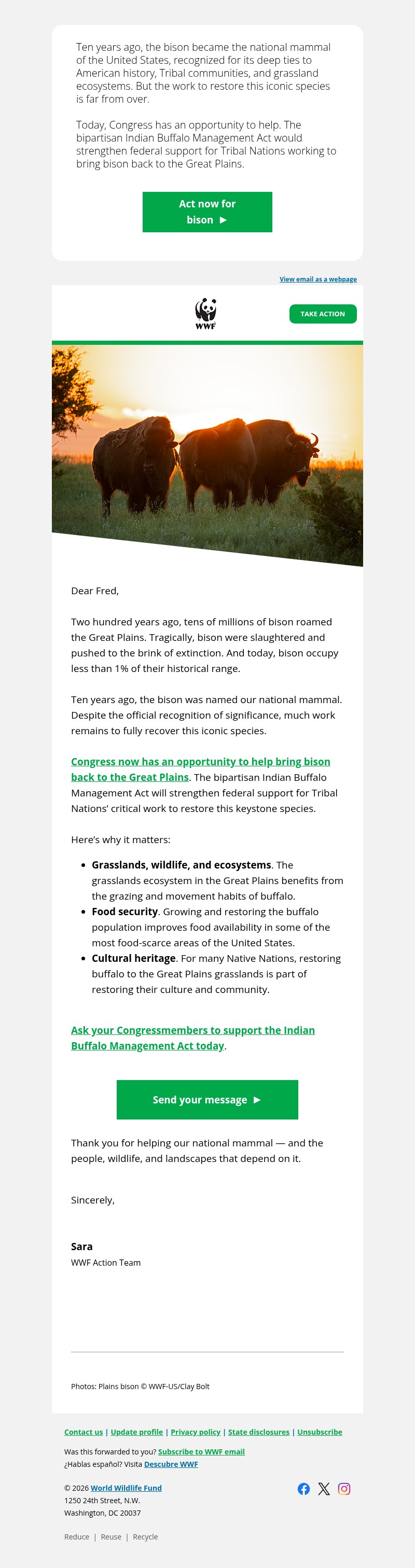 Screenshot of email with subject /media/emails/6e246221-5a7a-4b73-8e61-28e6142b9587.jpg