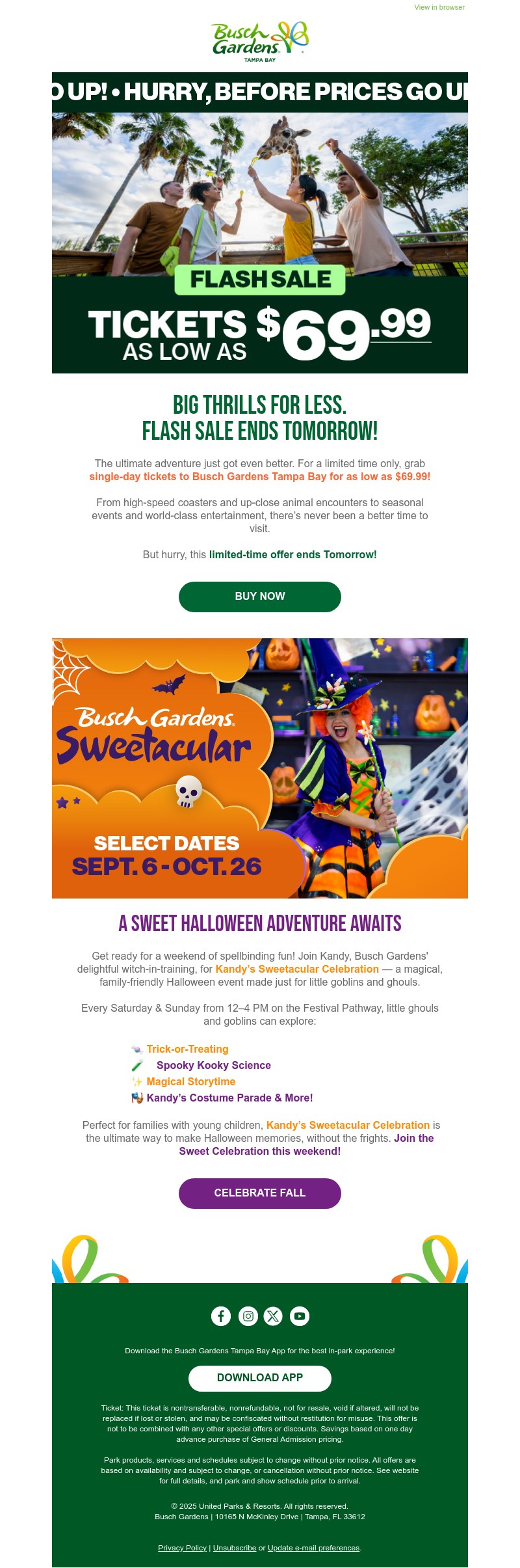 Screenshot of email with subject /media/emails/6ef8a042-3d2d-4975-8c00-201577cec101.jpg