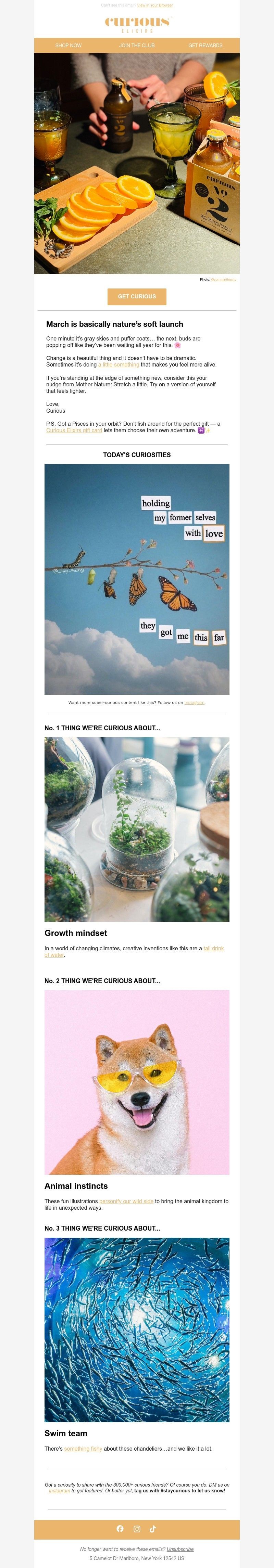 Screenshot of email with subject /media/emails/6f12a3b0-9bbd-492f-9ff3-96249782e719.jpg