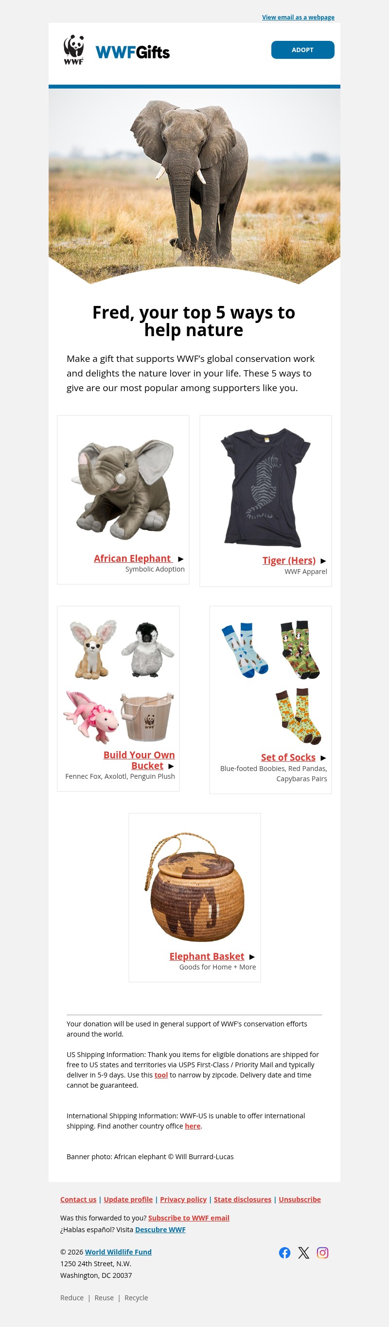Screenshot of email with subject /media/emails/6f97bd83-9542-47cf-adc1-485d006bc79e.jpg