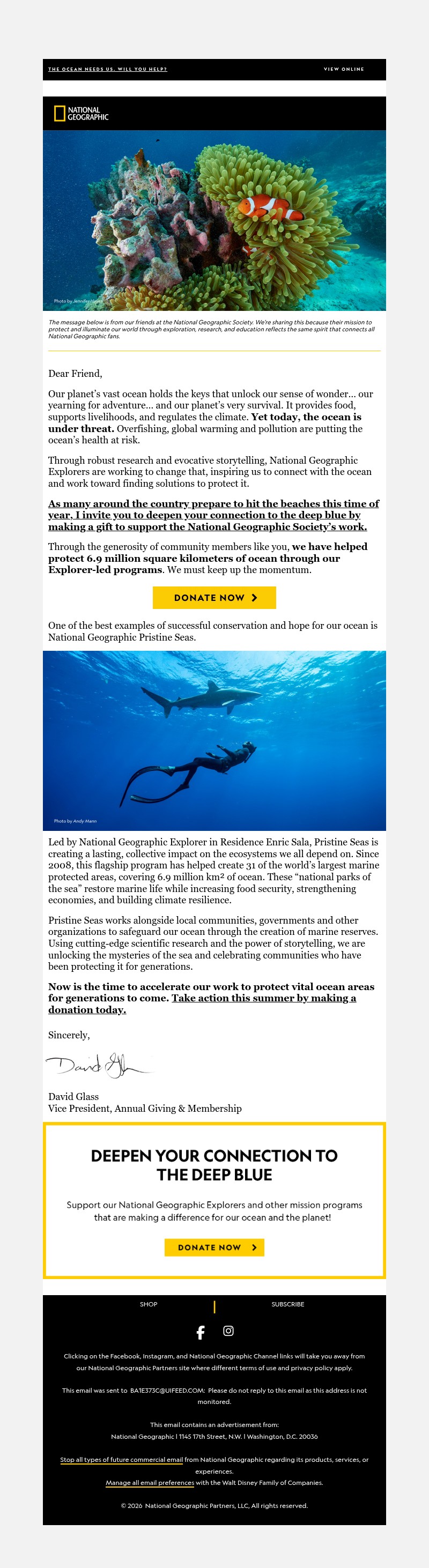 Screenshot of email with subject /media/emails/6fe930f3-ca40-45c9-ad95-d51f7ce3bbbb.jpg