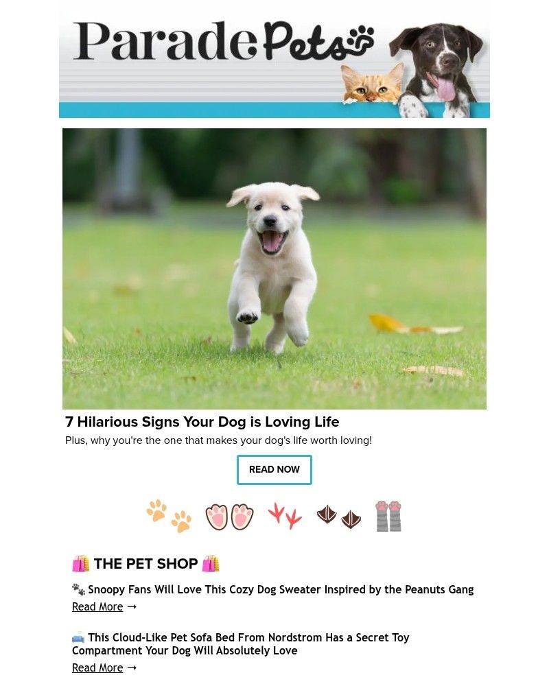 Screenshot of email sent to a Parade Newsletter subscriber