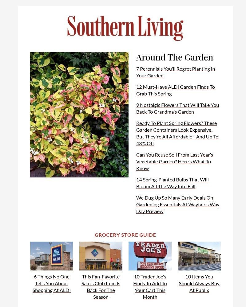 Screenshot of email sent to a Southern Living Newsletter subscriber