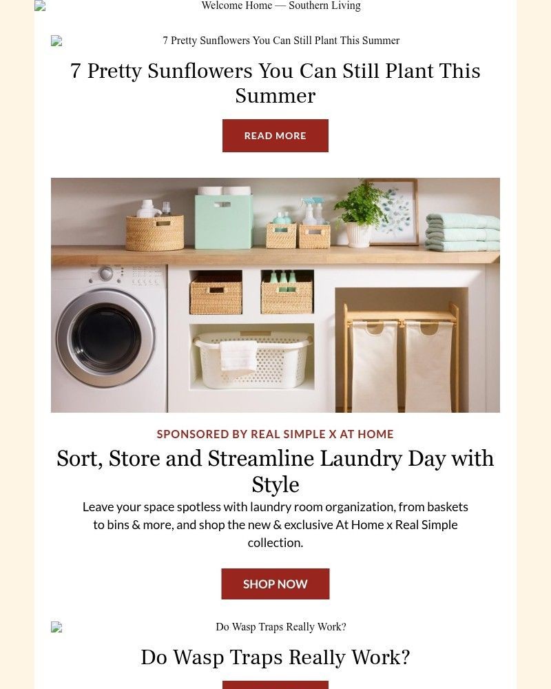 Screenshot of email with subject /media/emails/7-pretty-sunflowers-you-can-still-plant-this-summer-119527-cropped-5e70c08a.jpg