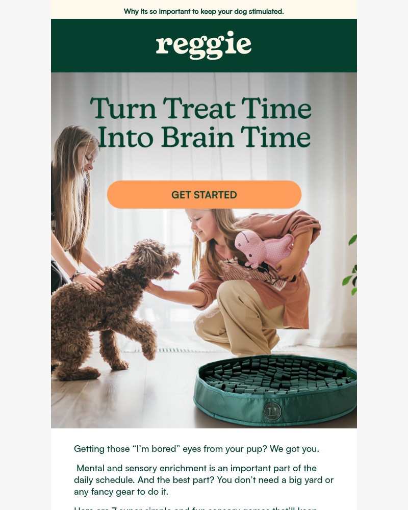 Screenshot of email with subject /media/emails/7-things-to-do-with-your-dog-this-weekend-that-arent-a-walk-a08361-cropped-e984d742.jpg