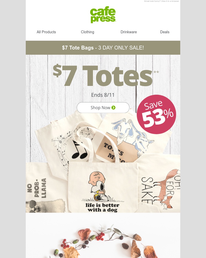 Screenshot of email with subject /media/emails/7-tote-bags-are-here-for-3-days-only-cropped-1d89a770.jpg