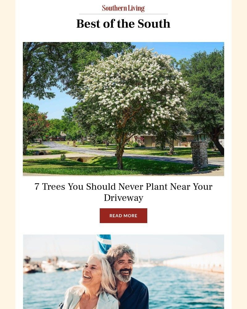 Screenshot of email with subject /media/emails/7-trees-you-should-never-plant-near-your-driveway-5e8229-cropped-6ec88f20.jpg