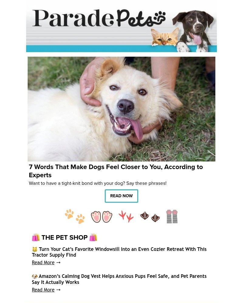Screenshot of email with subject /media/emails/7-words-that-make-dogs-feel-closer-to-you-according-to-experts-f612f6-cropped-66c5aacf.jpg