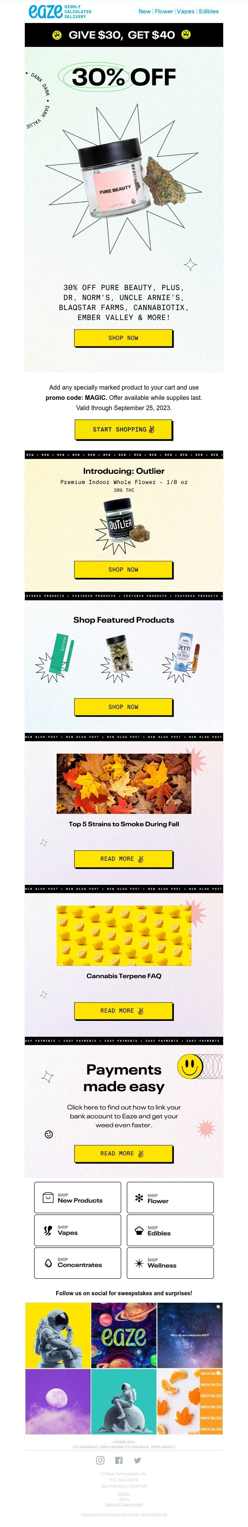 Screenshot of email with subject /media/emails/70638160-b414-4bdb-a9de-dff52ed20234.jpg
