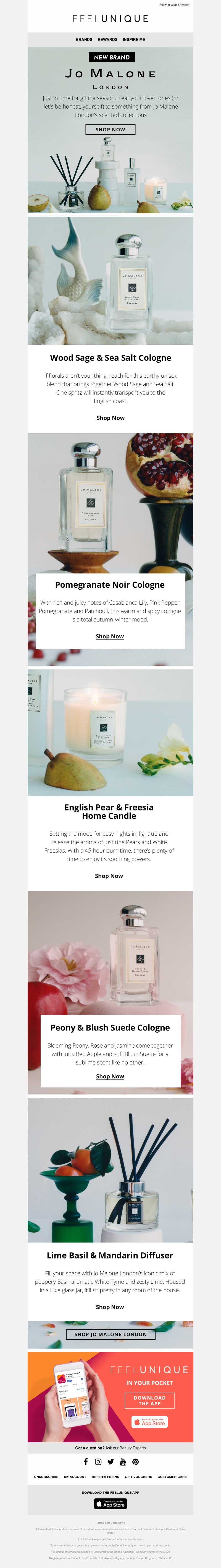 Screenshot of email with subject /media/emails/70d00ee7-42dd-4585-af67-05f002366c35.png