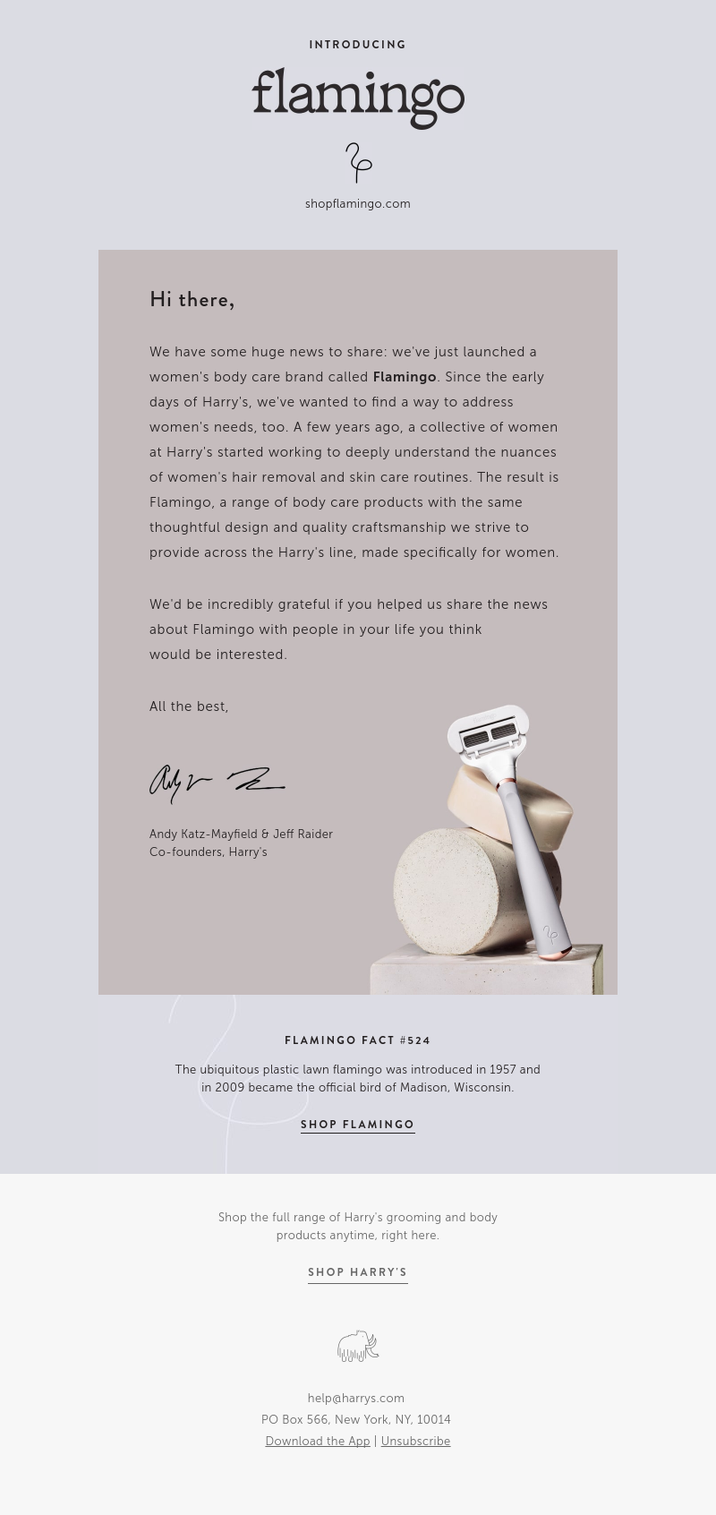 Screenshot of email with subject /media/emails/71429a4e-3634-4e9d-89d5-13b7ee4aa2e0.png