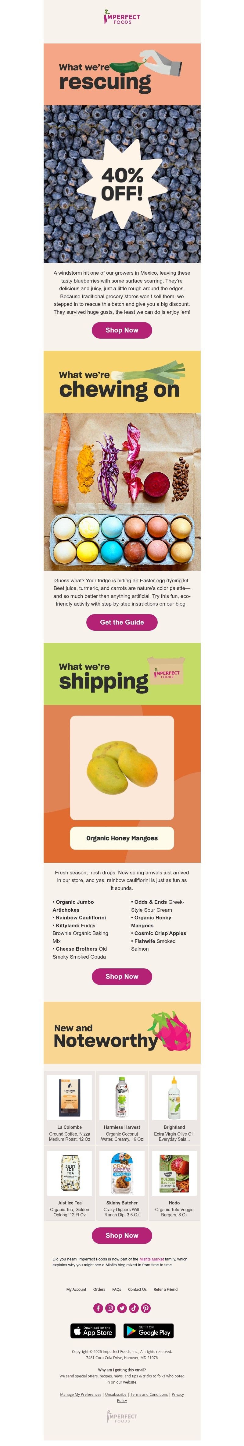 Screenshot of email with subject /media/emails/716281f4-29ae-4191-831e-5c7dd7038556.jpg