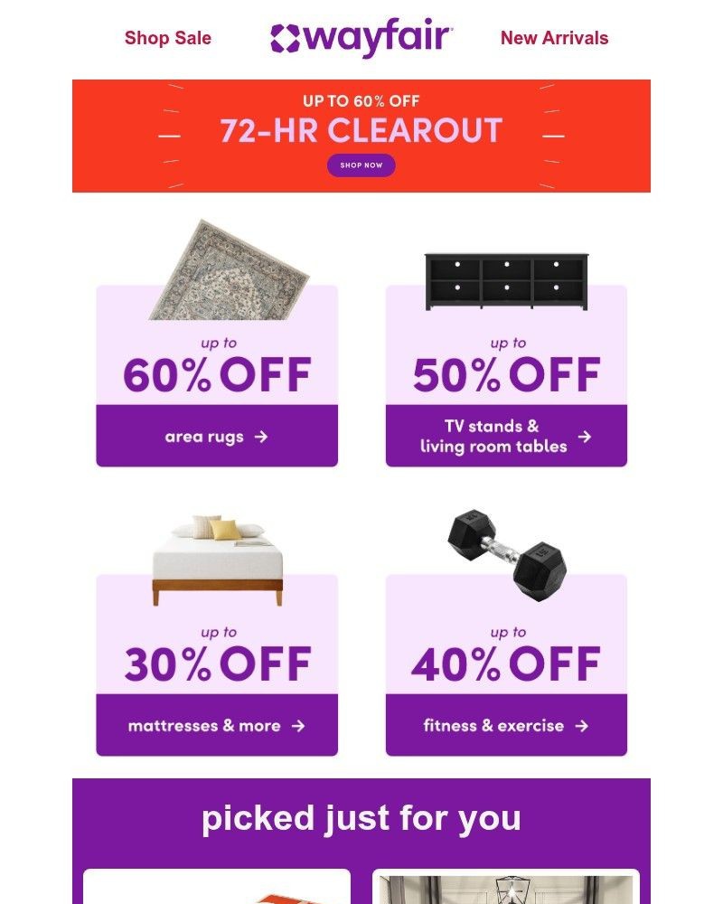 Screenshot of email sent to a Wayfair Newsletter subscriber