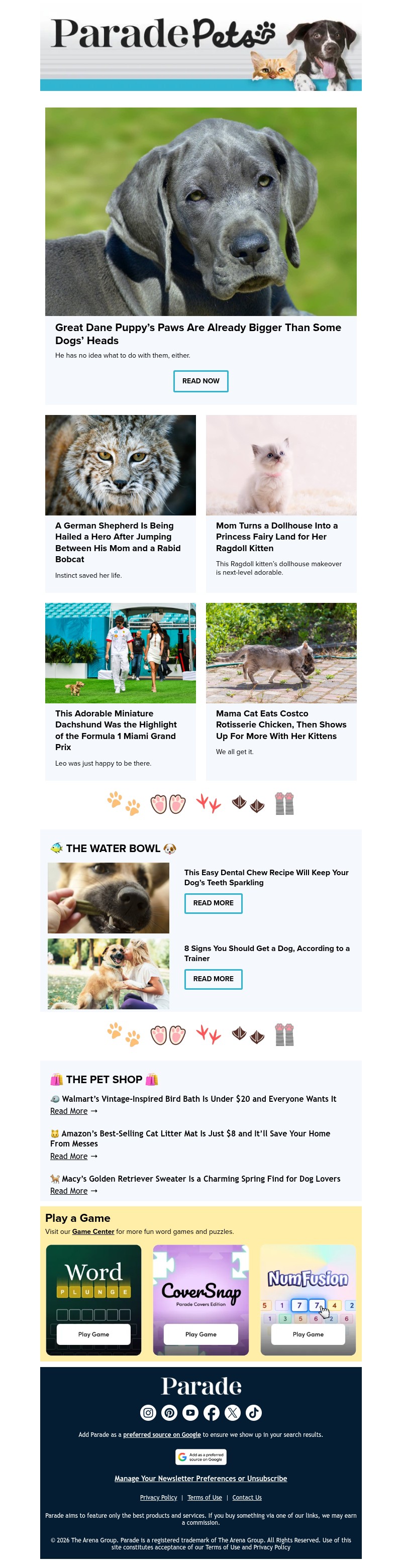 Screenshot of email with subject /media/emails/7246f802-47d2-44c5-b83c-0270830ec301.jpg