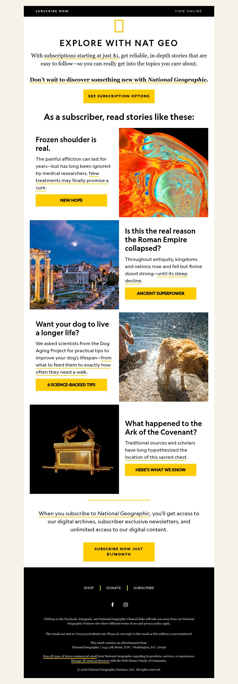 Screenshot of email with subject /media/emails/724de212-c7cc-4ec7-af37-7fe8f58c610e.jpg